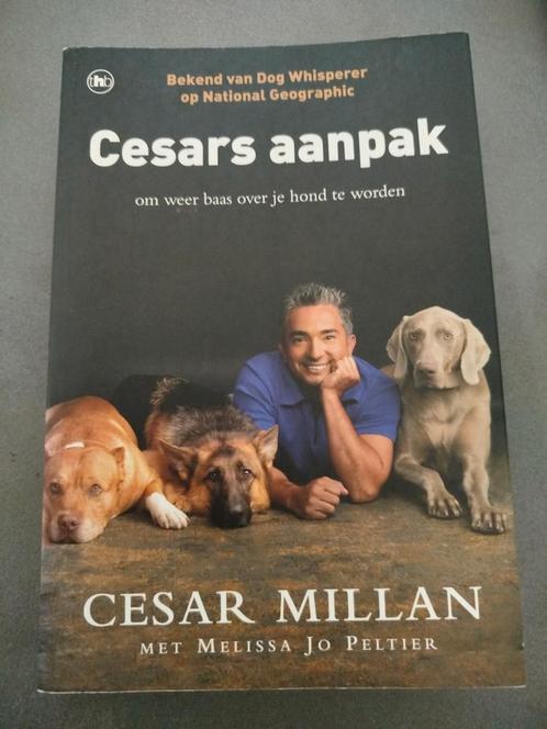 Cesars aanpak, Boeken, Dieren en Huisdieren, Honden, Ophalen of Verzenden