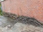 Brandhout, Tuin en Terras, Haardhout, Minder dan 3 m³, Ophalen, Overige houtsoorten, Stammen
