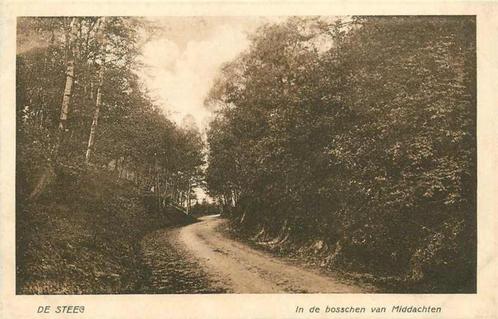 (377-397-009) De Steeg In de Bosschen van Middachten, Verzamelen, Ansichtkaarten | Nederland, Gelderland, Verzenden