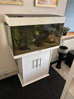 Jewel 80 cm aquarium, Dieren en Toebehoren, Vissen | Aquaria en Toebehoren, Ophalen, Gebruikt, Gevuld zoetwateraquarium
