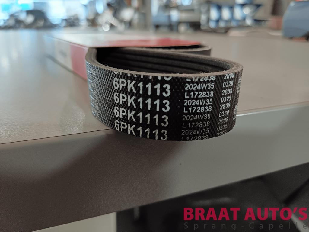 Multiriem 6 PK1113, Auto-onderdelen, -, -, Nieuw, Ophalen of Verzenden