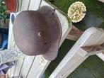 Duitse 1e wo helm, Verzamelen, Ophalen of Verzenden, Duitsland, Helm of Baret