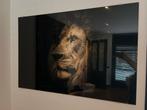 Glazen Schilderij Leeuw 80x120cm, Huis en Inrichting, Woonaccessoires | Schilderijen, Tekeningen en Foto's, Ophalen, 50 tot 75 cm