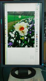 EIZO monitor Flexscan, Ophalen, IPS, Full HD, Zo goed als nieuw