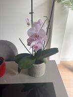 Orchid, Ophalen of Verzenden, Zo goed als nieuw