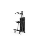 GYMFIT – LUXURY-LINE – DIP/CHIN ASSISTANT – L102, Ophalen of Verzenden, Nieuw, Benen, Overige typen