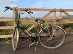 damesfiets - multicycle, Gebruikt, Versnellingen, 50 tot 53 cm, Ophalen