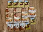 Plaatjes paarden 20 stuks, Hobby en Vrije tijd, Stickers en Plaatjes, Verzenden, Nieuw, Meerdere stickers