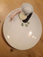 Italiaanse schaal zeevruchten, Ophalen