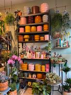 Zwarte Presentatierekken - 120x270cm, 8 Legplanken, Ophalen