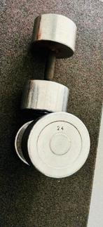 Paar chrome dumbells 24 kg voor de serieuze bodybuilder, Ophalen of Verzenden, Zo goed als nieuw, Dumbbell