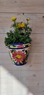 Mooie spaanse muurpot met bloem nieuw beperkte voorraad!, Rond, Ophalen of Verzenden, Zo goed als nieuw, Minder dan 40 cm