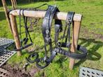 Ideal tuigage maat cob, Dieren en Toebehoren, Ophalen of Verzenden, Zo goed als nieuw, Overige soorten