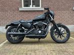 Harley Davidson Sportster Iron 883 1ste eig. 4.000 gelopen!, Motoren, Motoren | Harley-Davidson, 2 cilinders, Chopper, Particulier