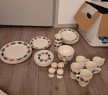boerenbont  beschikbaar voor biedingen