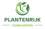 Vaste tuinplanten -ZATERDAG GEOPEND - Geldermalsen, Ophalen of Verzenden, Zomer, Vaste plant, Overige soorten