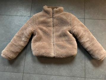 Twoday teddy jas beschikbaar voor biedingen