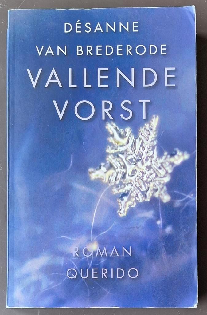 Vallende vorst - Desanne van Brederode, Boeken, Literatuur, Gelezen, Ophalen of Verzenden