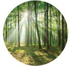 Behangcirkel Bos met zonlicht, Bos muurcirkel, Boszicht, Verzenden, Nieuw