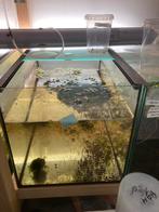 Aquarium 50/30/30 met glazen schuifdeksel, Zo goed als nieuw, Ophalen, Leeg aquarium