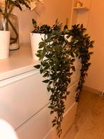 IKEA Muskot Pot met Fejka Kunstplanten (3x), Ophalen of Verzenden, Zo goed als nieuw, Binnen