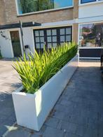 Nieuwe stalen plantenbak / bloembak Diverse kleuren en afm., Minder dan 60 cm, Rond, Nieuw, Ophalen of Verzenden