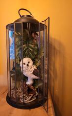 Glazen kooi met uil Harry Potter, Ophalen, 50 tot 100 cm, Glas, Minder dan 100 cm