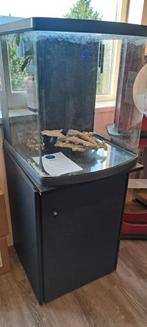 150L aquarium, Ophalen, Zo goed als nieuw, Leeg aquarium