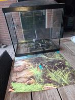 Aquarium merk super fish 45 l, Dieren en Toebehoren, Ophalen