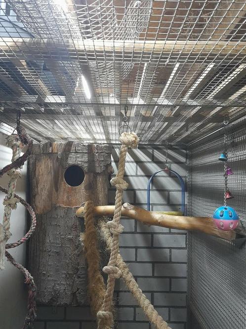 Zwaar Boomstam Blok met Camera., Dieren en Toebehoren, Vogels | Toebehoren, Gebruikt, Overige typen, Ophalen