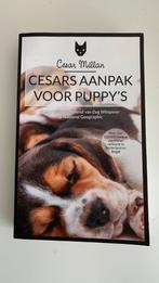 Cesar Millan - Cesar's aanpak voor puppy's, Honden, Cesar Millan, Ophalen of Verzenden, Zo goed als nieuw