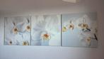 Orchideeën IKEA, Gebruikt, Ophalen of Verzenden, Schilderij, 50 tot 75 cm
