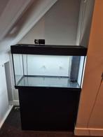 Juwel aquarium 125 liter + bijbehorende kast, Dieren en Toebehoren, Vissen | Aquaria en Toebehoren, Ophalen, Zo goed als nieuw
