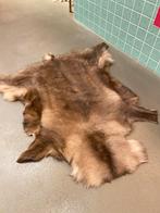 Mooie rendier vacht, 100 tot 150 cm, Bruin, Nieuw, Ophalen of Verzenden