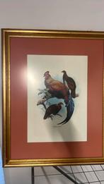 Schilderij, Antiek en Kunst, Ophalen of Verzenden