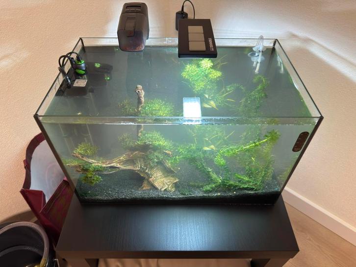 Aquarium 50L compleet met toebehoren, Dieren en Toebehoren, Vissen | Aquaria en Toebehoren, Zo goed als nieuw, Leeg aquarium, Ophalen