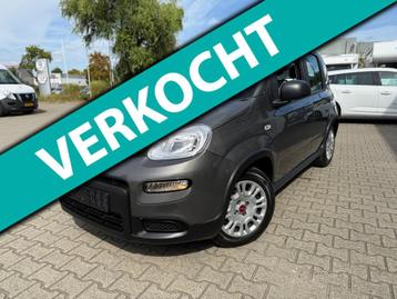 Fiat Panda 1.0 Hybrid (BOVAG/RIJKLAARPRIJS) beschikbaar voor biedingen