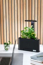 TEIG Home 3 Smart Garden - Indoor Kweekbak met LED, Ophalen of Verzenden, Nieuw