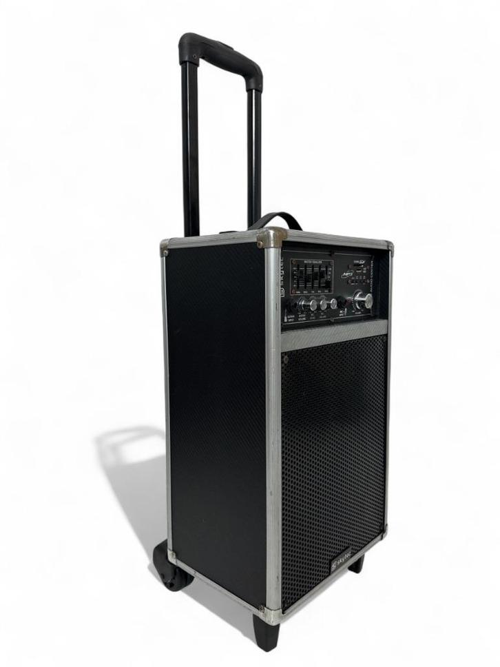 Gitaar - Zang - versterker Skytec ST-080 (accu + netstroom), Muziek en Instrumenten, Versterkers | Bas en Gitaar, Gebruikt, Gitaar