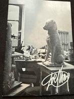 Dolf Wong - Tentoonstelling Catalogus 1976/1977, Verzenden, Zo goed als nieuw