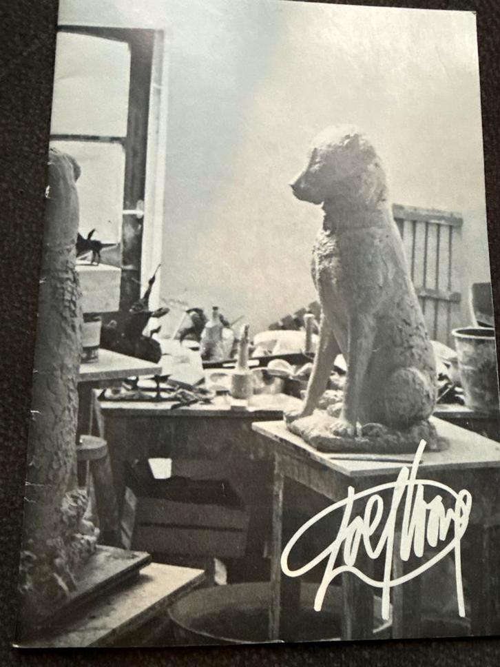 Dolf Wong - Tentoonstelling Catalogus 1976/1977, Boeken, Natuur, Zo goed als nieuw, Ophalen of Verzenden