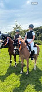 Lieve A pony kinder pony te koop!, Dieren en Toebehoren, Pony's, B, A pony (tot 1.17m), 3 tot 6 jaar, Recreatiepony