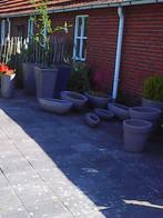 tuin en terras, Overige vormen, Tuin, 40 tot 70 cm, Ophalen