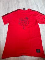Knolpower T-shirt - Enzo Knol Fan Merchandise, Ophalen, Maat 42/44 (L), Zo goed als nieuw, Korte mouw