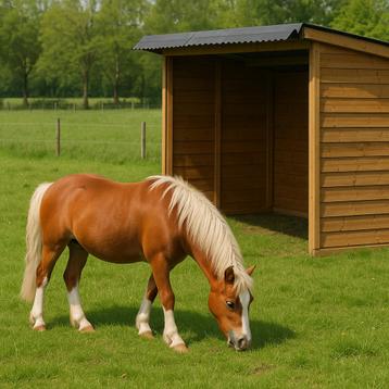 Stal en/of Weidegang beschikbaar voor biedingen