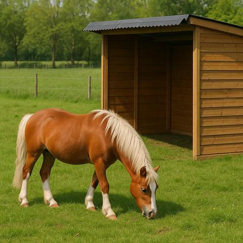 Stal en/of Weidegang, Dieren en Toebehoren, Stalling en Weidegang, Weidegang
