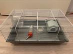 Hamsterkooi, Dieren en Toebehoren, Minder dan 60 cm, Kooi, Minder dan 75 cm, Ophalen of Verzenden