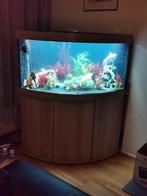 Juwel Trigon 350 hoek-aquarium (350L) met kast en extra's, Dieren en Toebehoren, Vissen | Aquaria en Toebehoren, Ophalen, Zo goed als nieuw