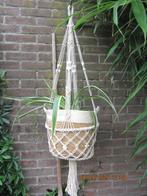 hang plant in mand en aan macrame hanger met kralen nieuw, Huis en Inrichting, Kamerplanten, Ophalen, Overige soorten, Halfschaduw