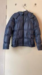 Winterjas hugo boss, Ophalen of Verzenden, Zo goed als nieuw, Maat 38/40 (M), Blauw